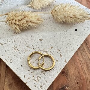 Paire de créoles en acier inoxydable